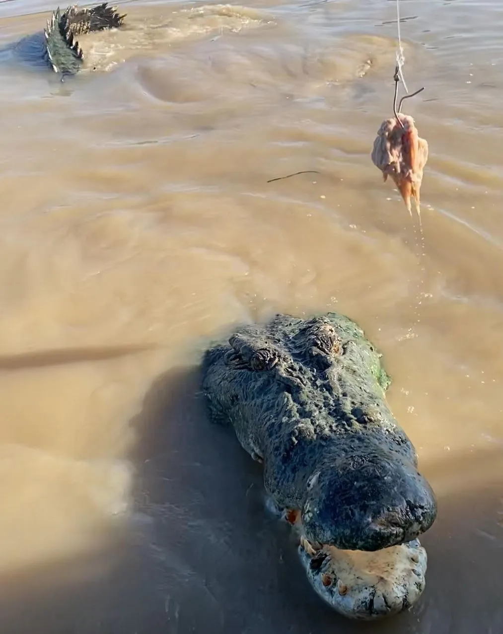 A Quick Story From the River