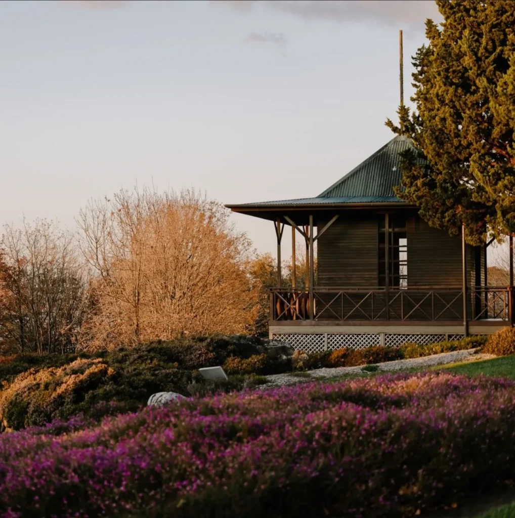 IS2 Medical | Explore the Blue Mountains: Luxury Tours, Scenic Views, and Unforgettable Adventures Blue Mountains Botanic Garden Mount Tomah