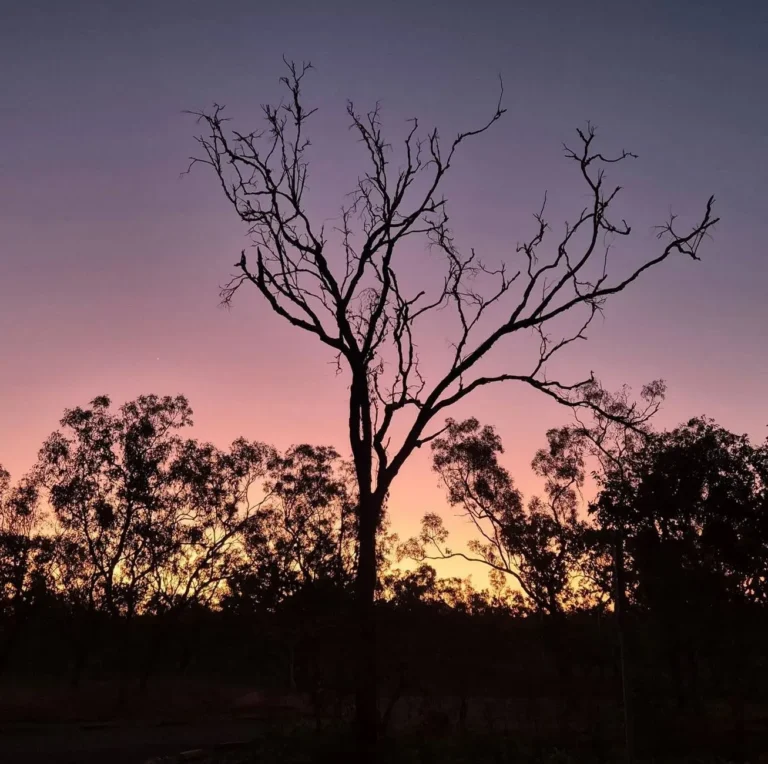 Is It Safe to Drive in Kakadu at Night