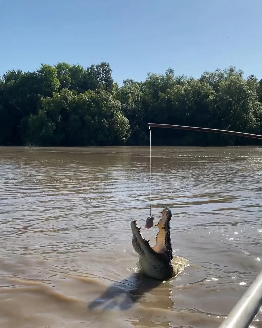 Jumping Crocodile Tour