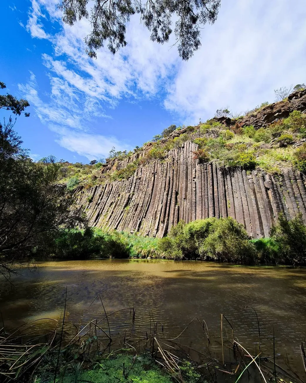 IS2 Medical | Melbourne Tours: Scenic Drives, Wildlife Encounters, and Wine Tastings Organ Pipes National Park