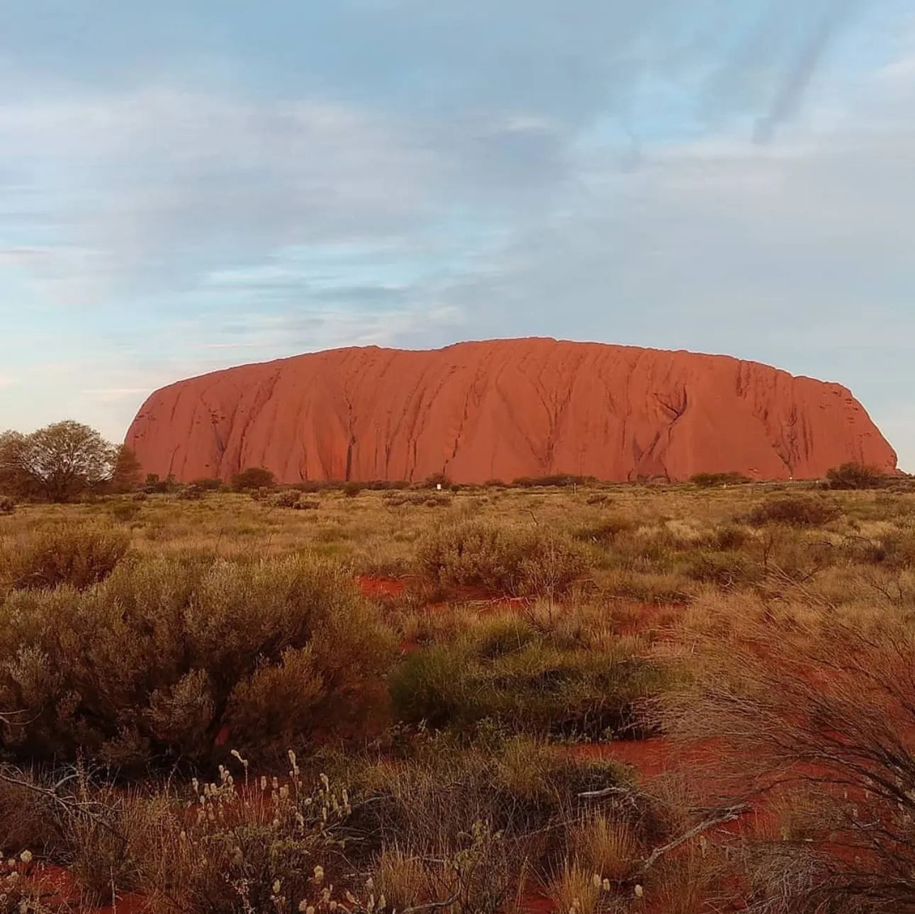 IS2 Medical | Uluru Motorcycle Tours: Outback Adventures on Two Wheels Uluru-Kata Tjuta Cultural Centre